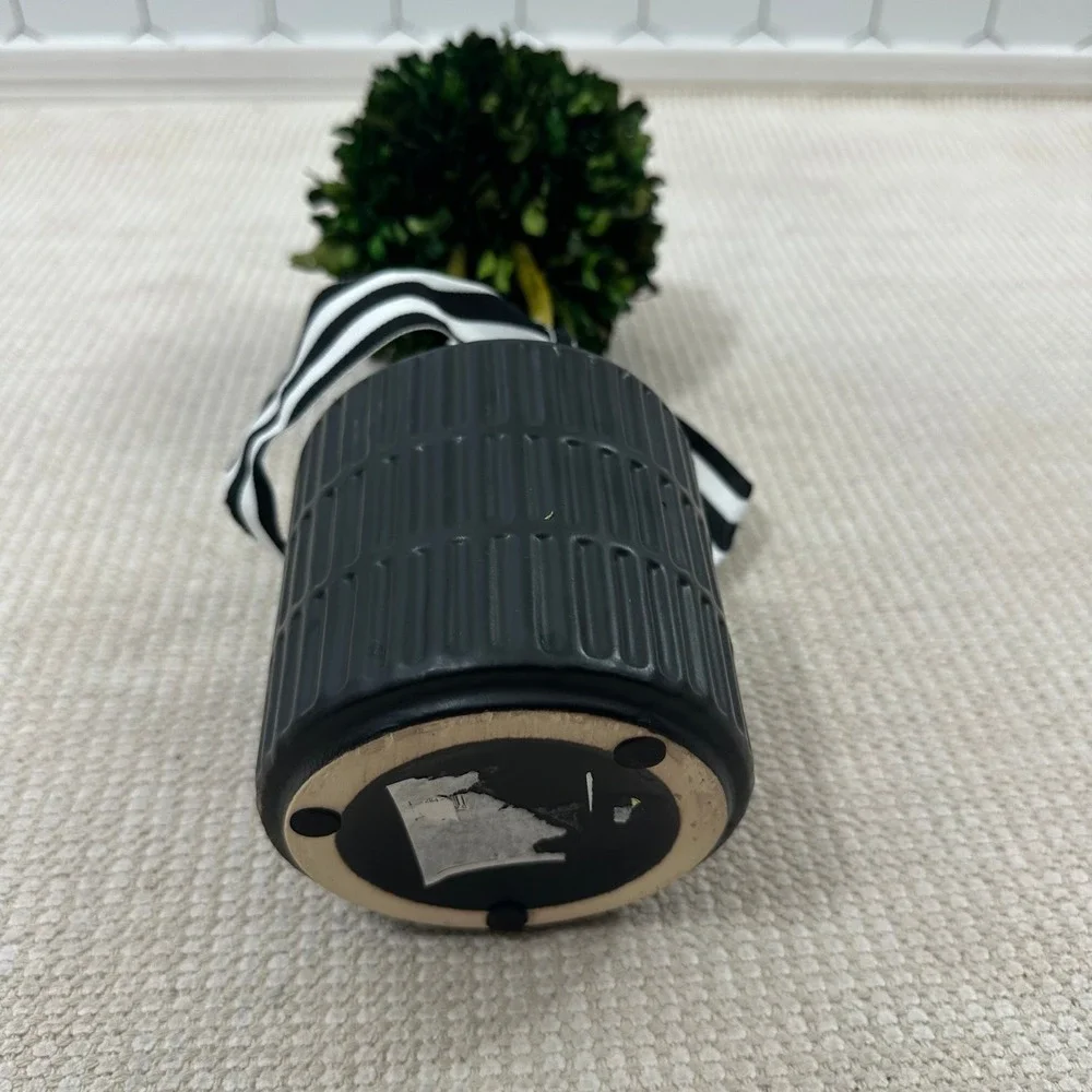 Preserved Boxwood Topiary 15in Ball in Black Ribbed Ceramic‎ Pot Striped Ribbon